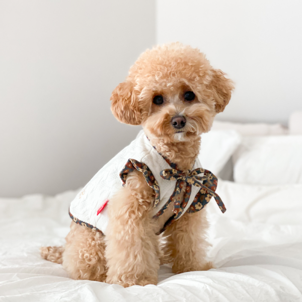 페오펫몰,러브핫핏 양면 착용 가능한 강아지 리버시블 플라워 베스트+모자 세트