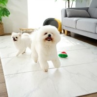 ★1+1 묶음 할인★ 휴팡_4T/6T 폴딩형_강아지매트[미끄럼 방지/슬개골 보호 애견매트]