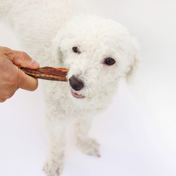 페오펫몰,[오래오래프로젝트] 깨끗한육포 오리날개 12p (210g)