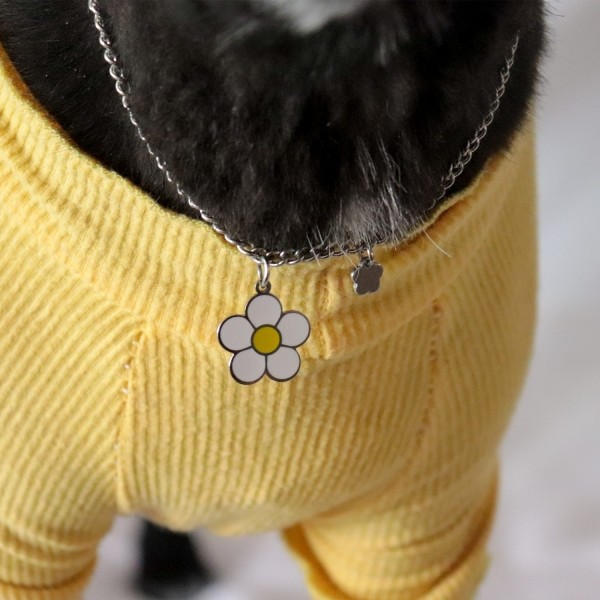 페오펫몰,[오늘출발]강아지 고양이 데이지꽃 인식표 목걸이