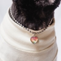 [오늘출발]강아지 고양이 하트 써지컬 인식표 목걸이