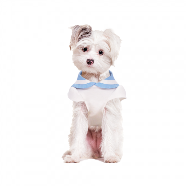 페오펫몰,세일러 코코넛즈 원피스 - 스카이블루