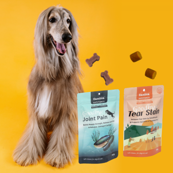 페오펫몰,잠보아 뉴트리페어 (눈물자국 + 관절) 영양제 세트