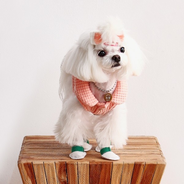 페오펫몰,코보콩 에어슈즈 일회용 강아지 신발 20매 소형