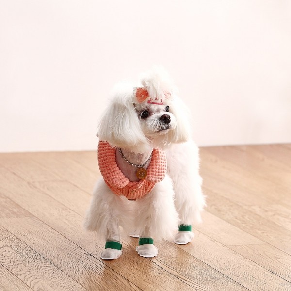 페오펫몰,코보콩 에어슈즈 일회용 강아지 신발 20매 소형