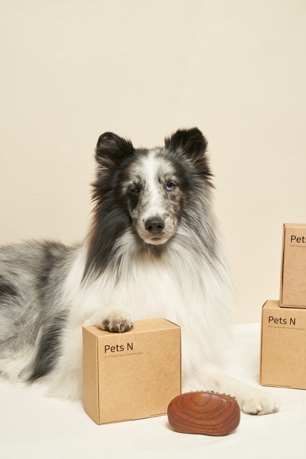 페오펫몰,펫츠엔 펫 버디브러쉬 강아지빗 고양이빗 반려견 사랑빗