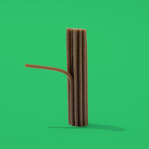 페오펫몰,(대용량할인)리브펫 덴탈핏츄 소형견 노령견 전용 17g*50P