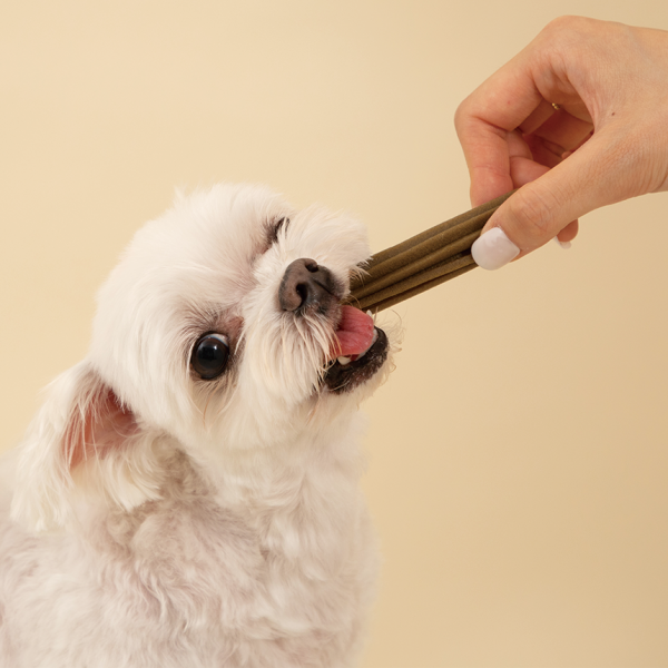 페오펫몰,(대용량할인)리브펫 덴탈핏츄 소형견 노령견 전용 17g*50P