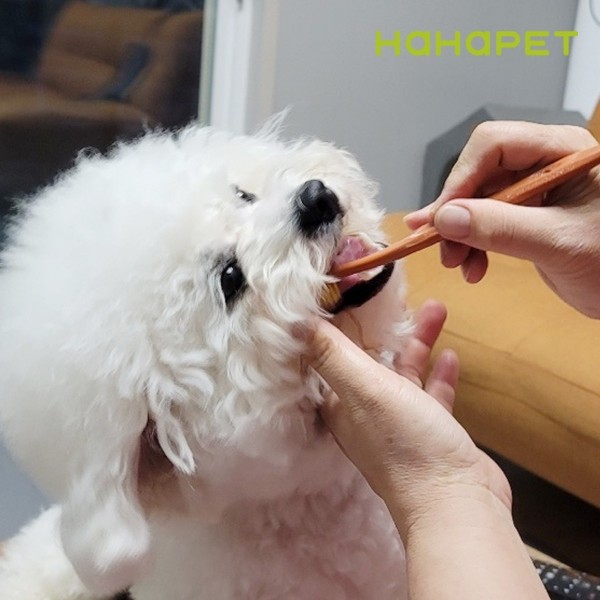 페오펫몰,하하펫 반려동물 듀얼모 강아지칫솔 1+1