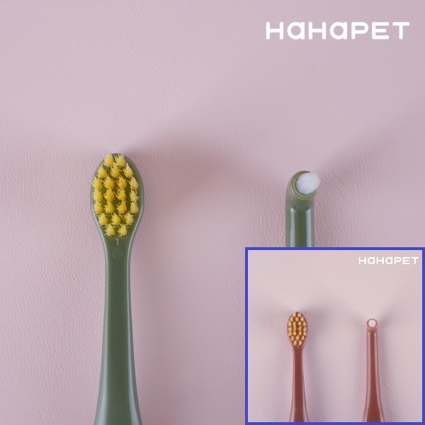 하하펫 반려동물 듀얼모 강아지칫솔 2+2