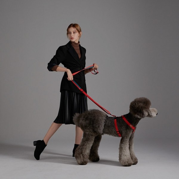 페오펫몰,[SPEL] 스펠 항공 TY리드줄 단품 BEIGE