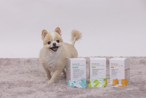 페오펫몰,[큐어바이케어] 코어 서플리 포 펫 조인트 (관절) 30개입