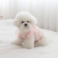 에덴숑 트윙클 플라워 크롭티 (Twinkle Flower Crop T) - 핑크