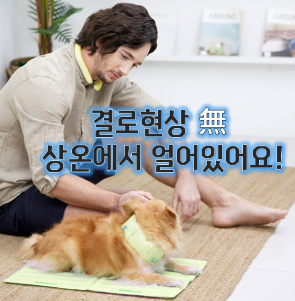 [여름맞이특가]icicool 아이시쿨 매트 결로현상X 휴대가 간편! 상온에서 얼어있는 신개념 쿨링매트 ver.3