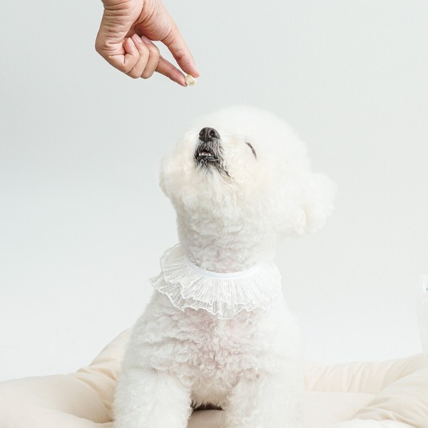 페오펫몰,바야 저칼로리 미니 캥거루트릿 동결건조 강아지 고양이 칭찬간식150g