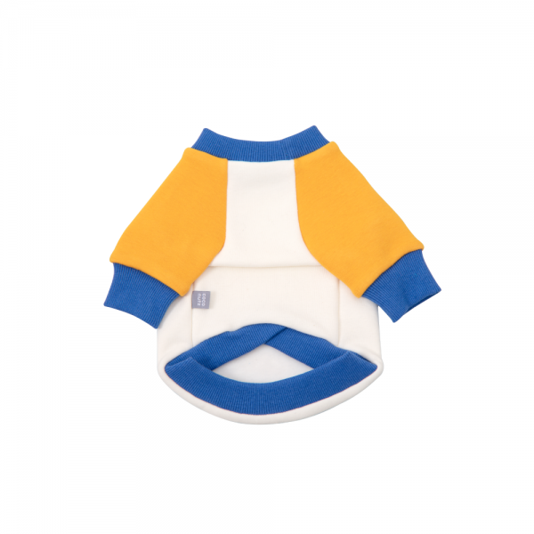 페오펫몰,헬로 코코넛즈 맨투맨 - 블루&옐로우