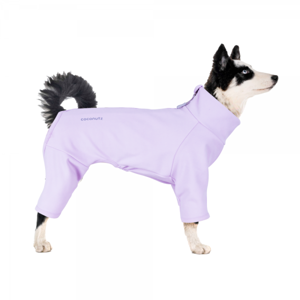 페오펫몰,코코넛즈 이지 핏 바디 워머 - 퍼플