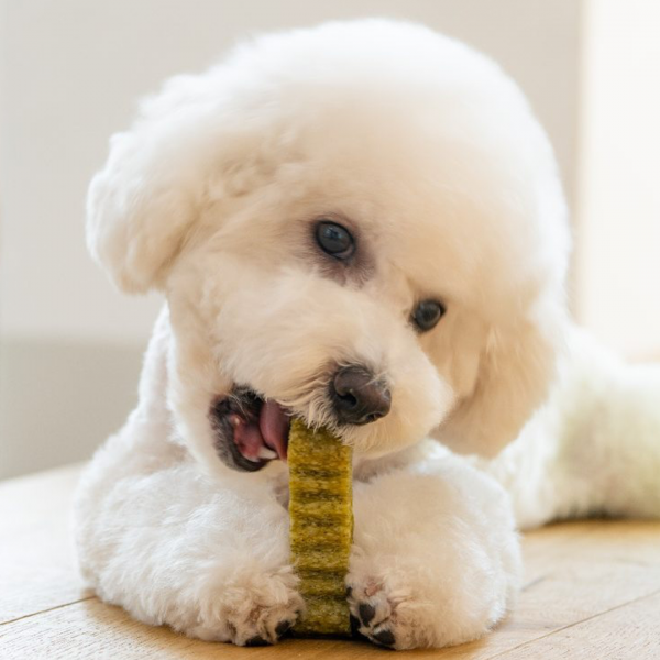 페오펫몰,[핏펫] [샘플팩] 잇츄 오리지널 S 버라이어티팩 (옐로우/그린/브라운/꿀잠츄)