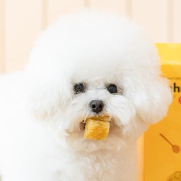 페오펫몰,[핏펫] [샘플팩] 잇츄 오리지널 S 버라이어티팩 (옐로우/그린/브라운/꿀잠츄)