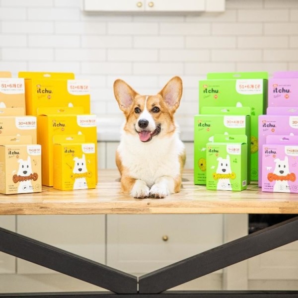 페오펫몰,[핏펫] [샘플팩] 잇츄 오리지널 S 버라이어티팩 (옐로우/그린/브라운/꿀잠츄)