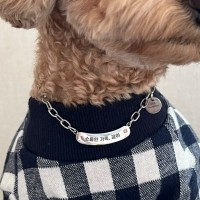 [오늘출발]강아지 라운드 인식표 목걸이