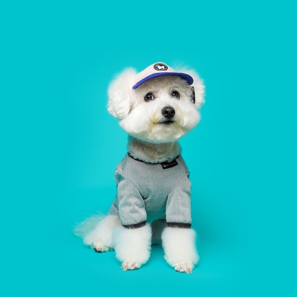 페오펫몰,[꽃길특가] BDB 스냅백 핑크라일락