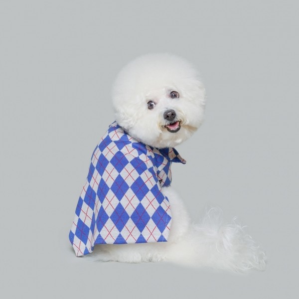 페오펫몰,아가일 집업 니트 블루