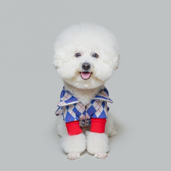 페오펫몰,아가일 집업 니트 블루