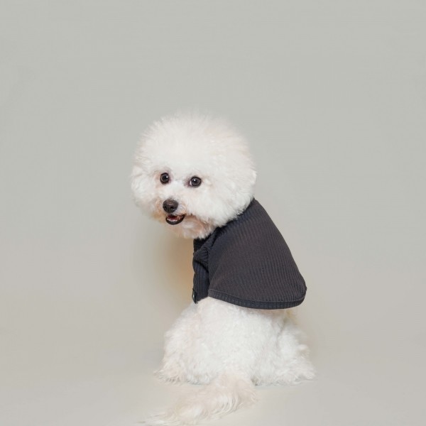 페오펫몰,베이직 터틀넥 차콜