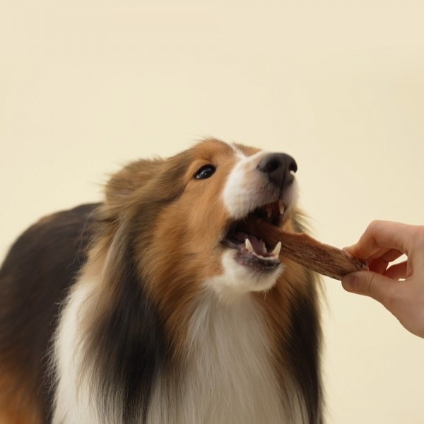 페오펫몰,[바야][꽃길특가] 와일드트릿 오래먹는 동결건조 오리목뼈 120g 1/3컷팅