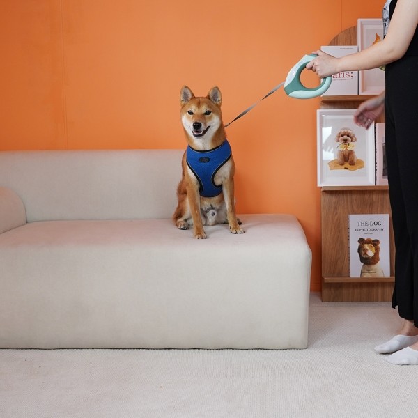 페오펫몰,개과천선 강아지 LED 물방울 자동 리드줄 3M