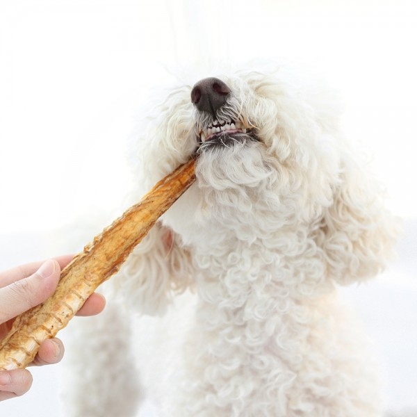 페오펫몰,[오래오래프로젝트] 깨끗한육포 뼈째먹는 통아귀 (240g)