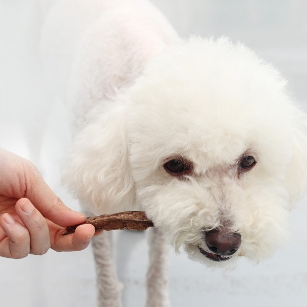 페오펫몰,[오래오래프로젝트] 깨끗한육포 저칼로리 보양간식 한우허파 (105g)