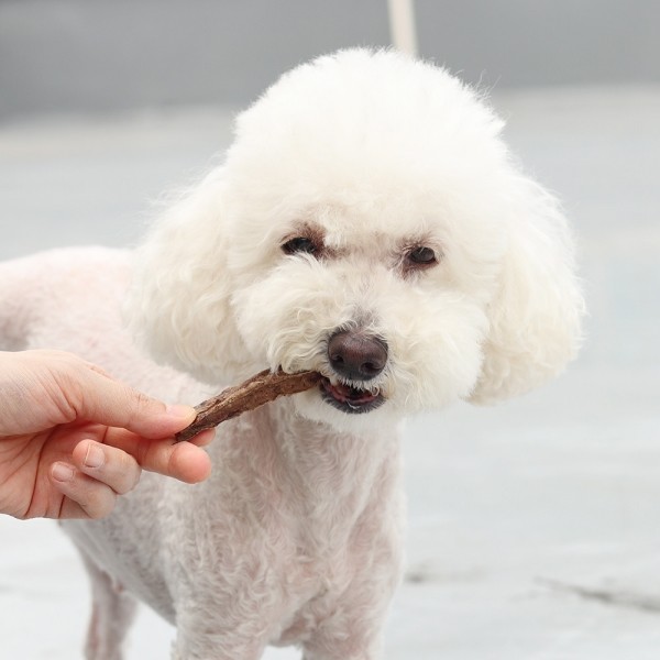페오펫몰,[오래오래프로젝트] 깨끗한육포 저칼로리 보양간식 한우허파 (105g)