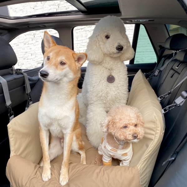 페오펫몰,대형견카시트 뽀뇨 벤티앤그랑데 카시트 [최저가]