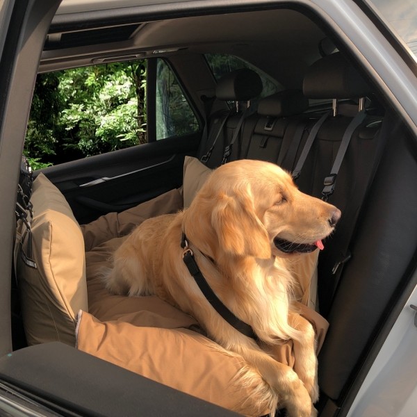 페오펫몰,대형견카시트 뽀뇨 벤티앤그랑데 카시트 [최저가]