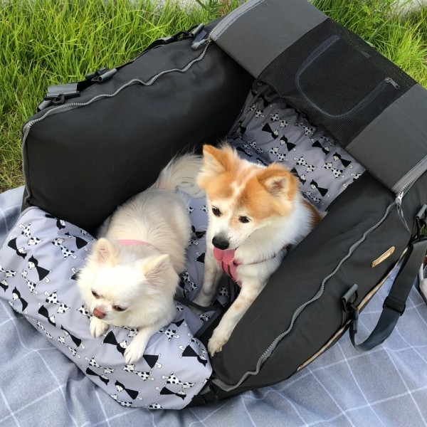 페오펫몰,뽀뇨 360도 블록킹 카시트 뒷좌석전용 SUPER BACK [최저가]