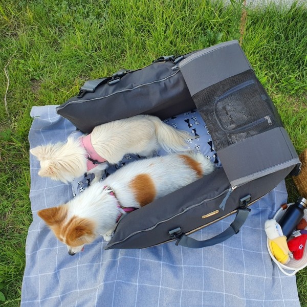 페오펫몰,뽀뇨 360도 블록킹 카시트 뒷좌석전용 SUPER BACK [최저가]