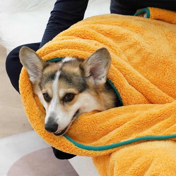 페오펫몰,수분제로 펫타올