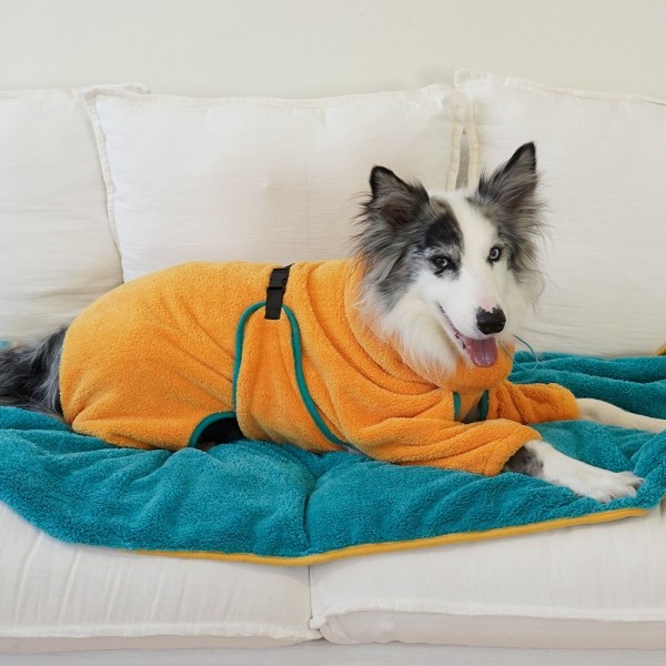 페오펫몰,수분제로 펫타올