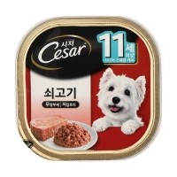 시저 11세 이상 쇠고기 100g [최저가]