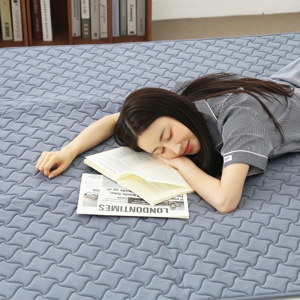 페오펫몰,한일의료기 탄소 매트 극세사 HIM-3000D2 더블 (좌우 분리 개별 난방)