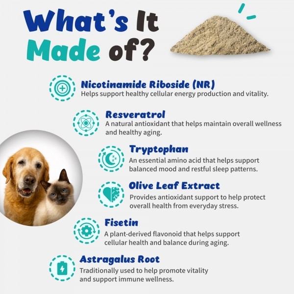 페오펫몰,브랜바인 [새해특가] 엔에이디 셀벳 강아지 고양이 텔로미어 NAD  세포 기능 건강수명