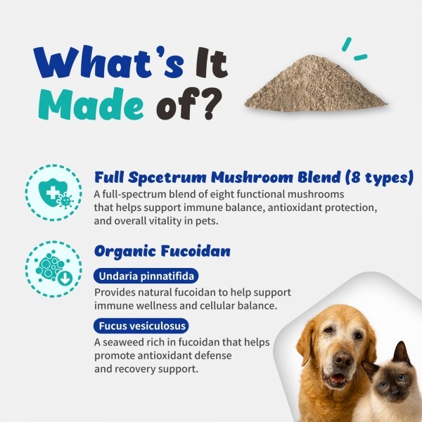 페오펫몰,브랜바인 [새해특가] 엔케이티 셀벳 강아지 고양이 면역 종양 대비 천연스테로이드 천연항생제