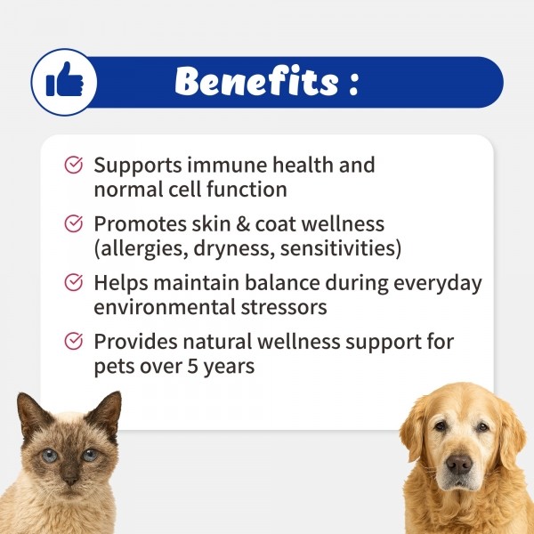 페오펫몰,브랜바인 [새해특가] 엔케이티 셀벳 강아지 고양이 면역 종양 대비 천연스테로이드 천연항생제