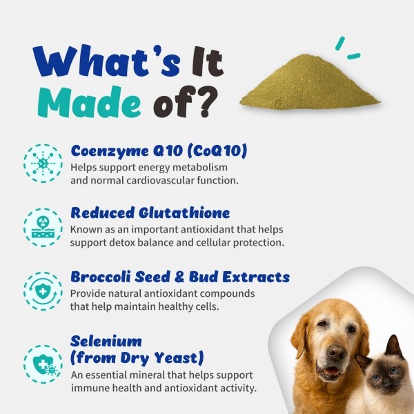 페오펫몰,브랜바인 [새해특가] 에이티비 셀벳 강아지 고양이 면역 종양 지원 천연강심제