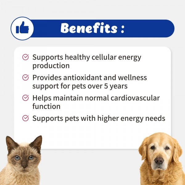 페오펫몰,브랜바인 [새해특가] 에이티비 셀벳 강아지 고양이 면역 종양 지원 천연강심제