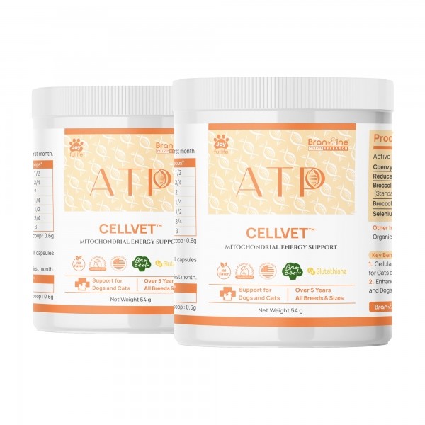 페오펫몰,브랜바인 [새해특가] 에이티비 셀벳 강아지 고양이 면역 종양 지원 천연강심제