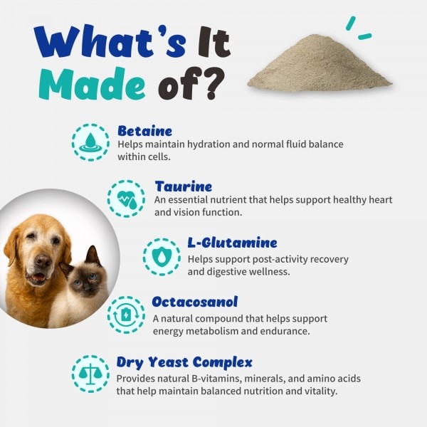 페오펫몰,브랜바인 [새해특가] 일렉트로라이트 셀벳 강아지 고양이 활력 피로회복 탈수 완화 전해질 보충