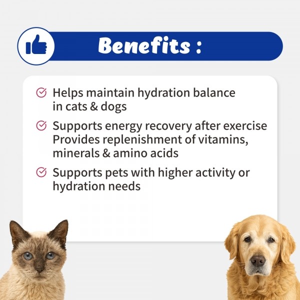 페오펫몰,브랜바인 [새해특가] 일렉트로라이트 셀벳 강아지 고양이 활력 피로회복 탈수 완화 전해질 보충
